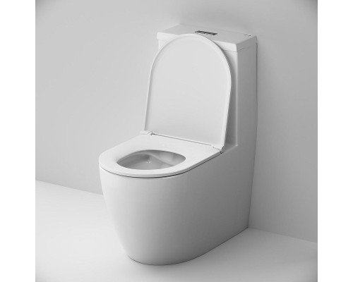 Унитаз моноблок AM.PM Func C8F8900SC Белый с сиденьем Микролифт