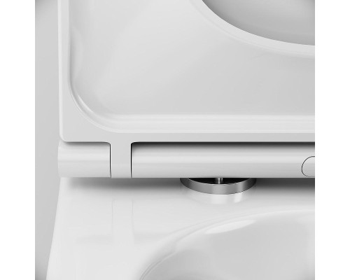 Унитаз моноблок AM.PM Func C8F8900SC Белый с сиденьем Микролифт