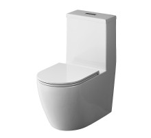 Унитаз моноблок AM.PM Func C8F8900SC Белый с сиденьем Микролифт
