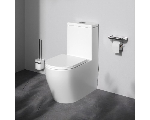 Унитаз моноблок AM.PM Func C8F8900SC Белый с сиденьем Микролифт
