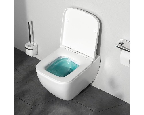 Унитаз AM.PM Gem FlashClean C901701SC подвесной с сиденьем Микролифт