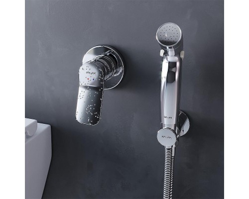 Комплект унитаза с инсталляцией AM.PM Inspire 2.0 CK50GD с сиденьем Микролифт с клавишей смыва Хром с гигиеническим душем и аксессуарами для ванной комнаты