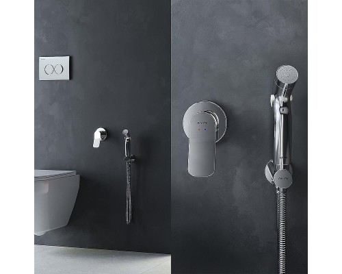 Комплект унитаза с инсталляцией AM.PM Inspire 2.0 CK50GD с сиденьем Микролифт с клавишей смыва Хром с гигиеническим душем и аксессуарами для ванной комнаты