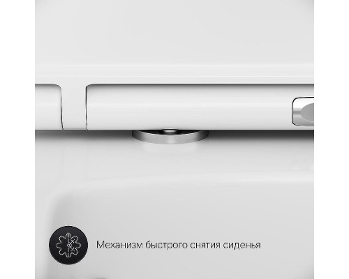 Комплект унитаза с инсталляцией AM.PM Inspire 2.0 CK50GD с сиденьем Микролифт с клавишей смыва Хром с гигиеническим душем и аксессуарами для ванной комнаты