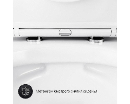 Унитаз AM.PM Sense FlashClean C741701SC подвесной с сиденьем Микролифт