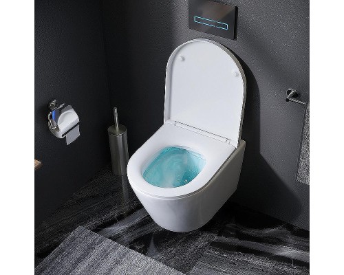 Комплект унитаза с инсталляцией AM.PM Sense FlashClean IS100151.741701 с сиденьем Микролифт и клавишей смыва Хром глянцевый