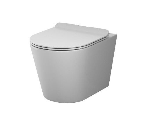 Унитаз AM.PM Sunny C85C1701SC подвесной цвет Белый с сиденьем Микролифт