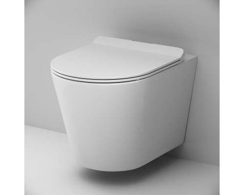 Унитаз AM.PM Sunny C85C1701SC подвесной цвет Белый с сиденьем Микролифт