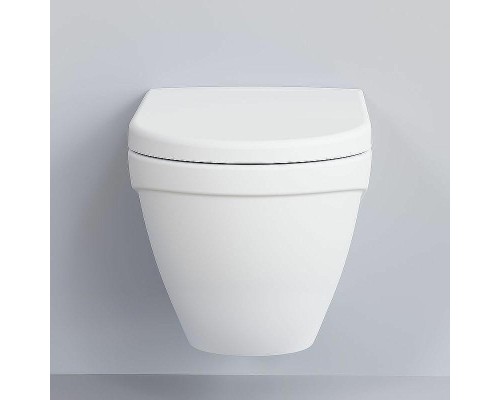 Унитаз Ambassador Nord 133T20101-132T20101 подвесной Белый матовый с сиденьем Микролифт