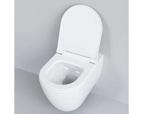 Унитаз Ambassador Queen 113T20001R-112T20001S подвесной Белый глянцевый с сиденьем Микролифт