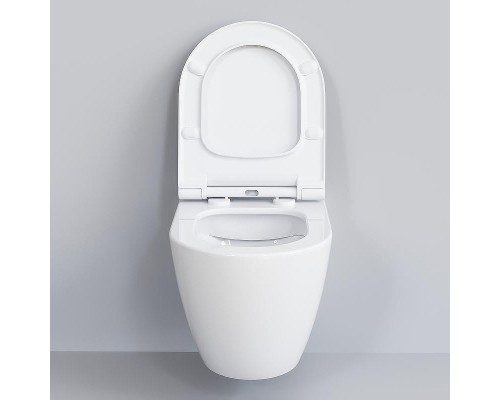 Унитаз Ambassador Queen 113T20001R-112T20001S подвесной Белый глянцевый с сиденьем Микролифт