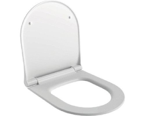 Унитаз Ambassador Queen 113T20001R-112T20001S подвесной Белый глянцевый с сиденьем Микролифт