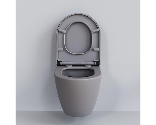 Унитаз Ambassador Queen 113T20301R подвесной Серый матовый без сиденья