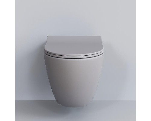 Унитаз Ambassador Queen 113T20301R подвесной Серый матовый без сиденья