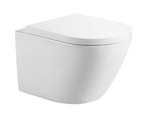 Унитаз Aquanet ZV-2 303978 подвесной с сиденьем Микролифт