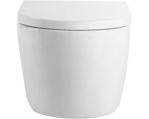 Унитаз Aquanet ZV-2 303978 подвесной с сиденьем Микролифт