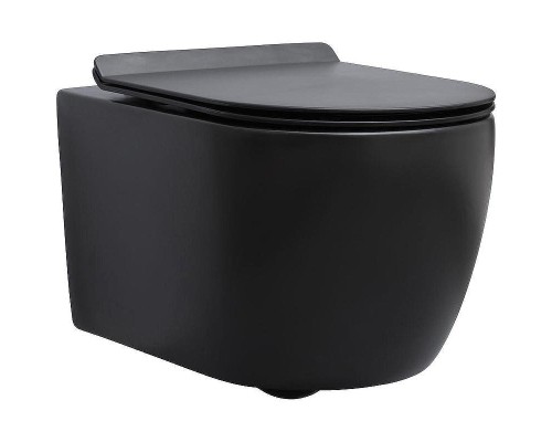 Унитаз Aquanet Cetus-BW Rimless 287008 подвесной с сиденьем Микролифт