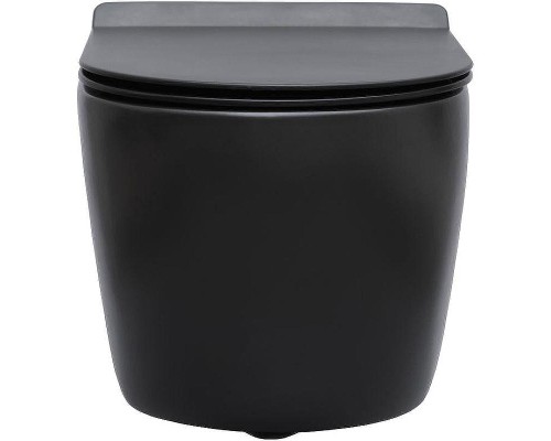 Унитаз Aquanet Cetus-BW Rimless 287008 подвесной с сиденьем Микролифт