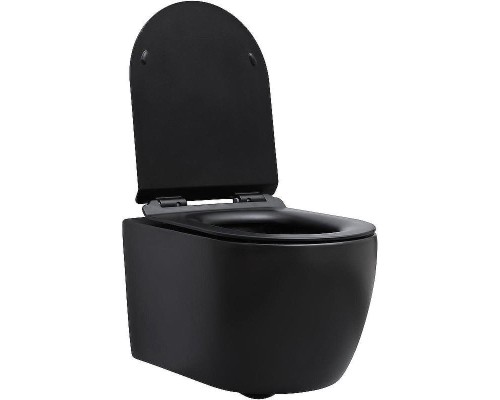 Унитаз Aquanet Cetus-BW Rimless 287008 подвесной с сиденьем Микролифт