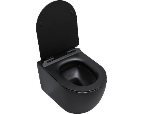 Унитаз Aquanet Cetus-BW Rimless 287008 подвесной с сиденьем Микролифт