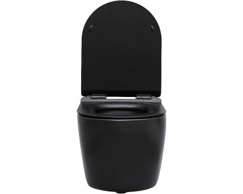 Унитаз Aquanet Cetus-BW Rimless 287008 подвесной с сиденьем Микролифт