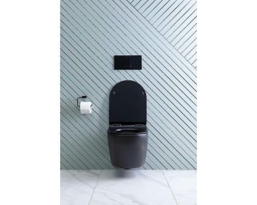 Унитаз Aquanet Cetus-BW Rimless 287008 подвесной с сиденьем Микролифт