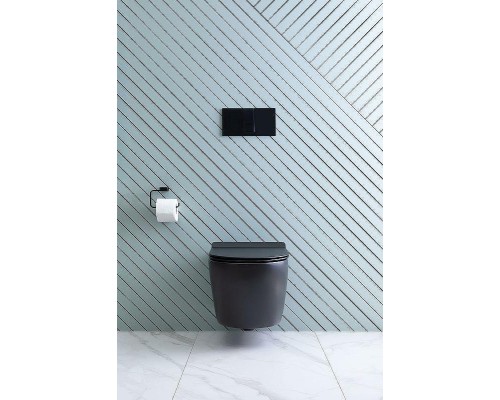 Унитаз Aquanet Cetus-BW Rimless 287008 подвесной с сиденьем Микролифт