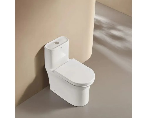 Унитаз моноблок Arrow AB1802H цвет Белый с бачком без сиденья