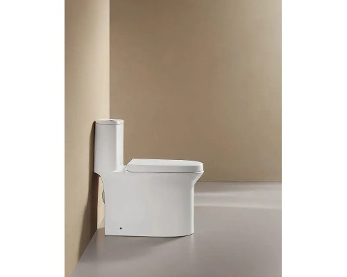 Унитаз моноблок Arrow AB1802H цвет Белый с бачком без сиденья