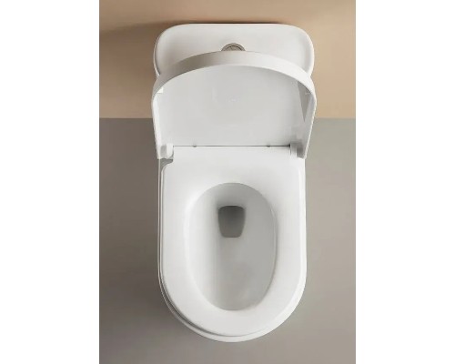 Унитаз моноблок Arrow AB1802H цвет Белый с бачком без сиденья