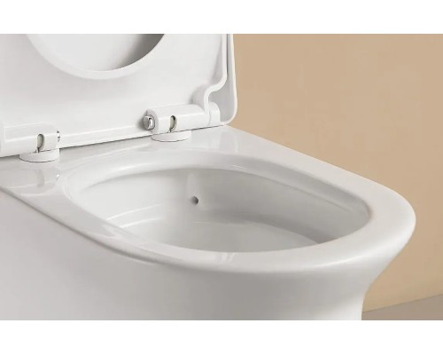 Унитаз моноблок Arrow AB1802H цвет Белый с бачком без сиденья