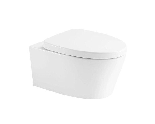 Унитаз Arrow AHB21002H подвесной цвет Белый без сиденья