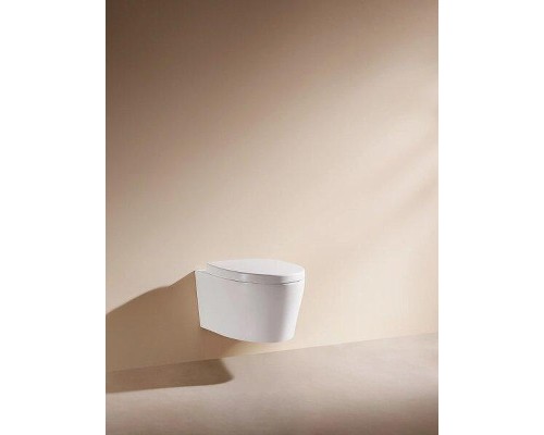 Унитаз Arrow AHB21002H подвесной цвет Белый без сиденья