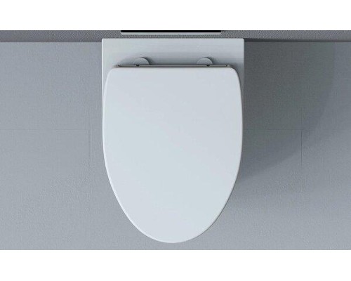 Унитаз Arrow AHB21002H подвесной цвет Белый без сиденья