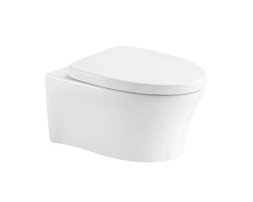 Унитаз Arrow AHB2106H подвесной цвет Белый без сиденья