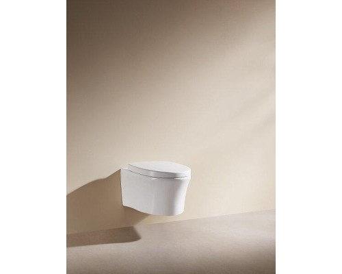 Унитаз Arrow AHB2106H подвесной цвет Белый без сиденья