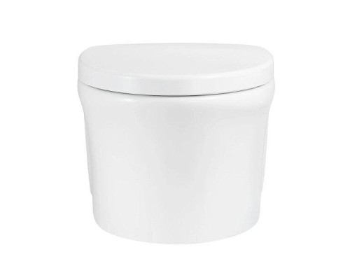 Унитаз Arrow AHB2106H подвесной цвет Белый без сиденья