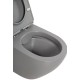 Унитаз BelBagno Colorato BB062CHR-GR/BB062SC-GR подвесной Серый матовый с сиденьем Микролифт