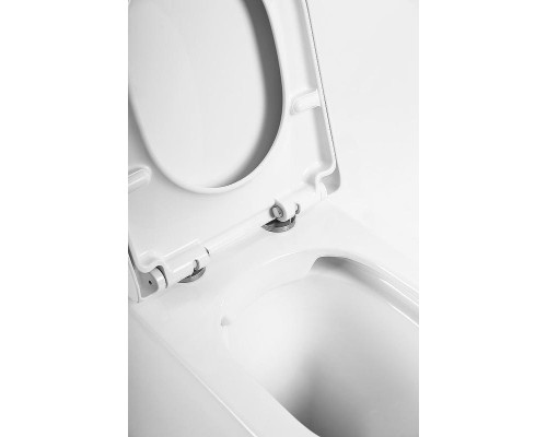 Унитаз BelBagno Flay-R BB1003CBR/BB865SC приставной с сиденьем Микролифт