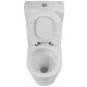Унитаз компакт BelBagno Flay-Tor BB2149CP-TOR/BB2149T/BB2111SC с бачком и сиденьем Микролифт