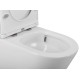 Унитаз компакт BelBagno Flay-Tor BB2149CP-TOR/BB2149T/BB2111SC с бачком и сиденьем Микролифт