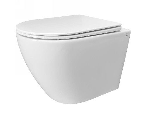 Унитаз CeramaLux TR2196 подвесной Белый глянцевый с сиденьем Микролифт
