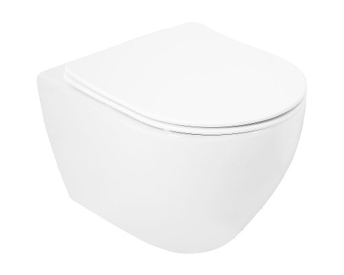 Унитаз Cezares Stylus CZR-513-TH-R/CZR-2316-SC подвесной с сиденьем Микролифт