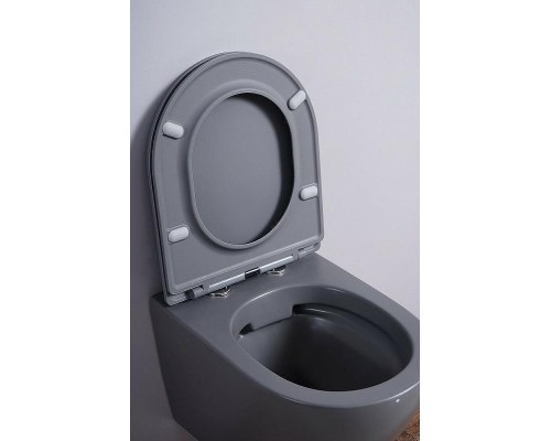 Унитаз Esbano Azalea ESUPAZALGM подвесной Серый матовый с сиденьем Микролифт