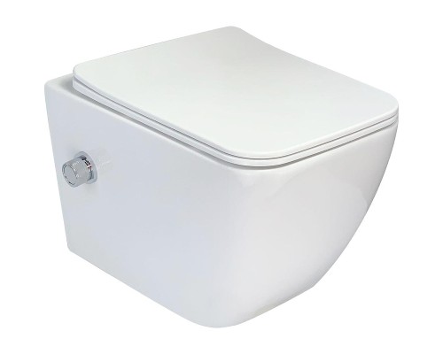 Унитаз биде Esbano Leon-WBN ESWBLEONWN подвесной цвет Белый с сиденьем Микролифт