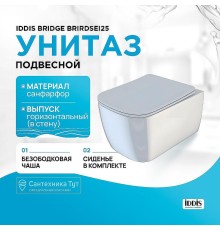 Унитаз Iddis Bridge BRIRDSEi25 подвесной с сиденьем Микролифт