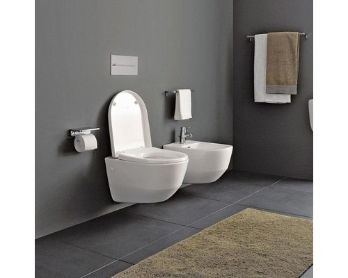 Унитаз Laufen Pro 8.2095.6 подвесной без сиденья