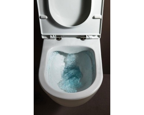 Унитаз Laufen Pro Rimless 8.2096.6 подвесной без сиденья