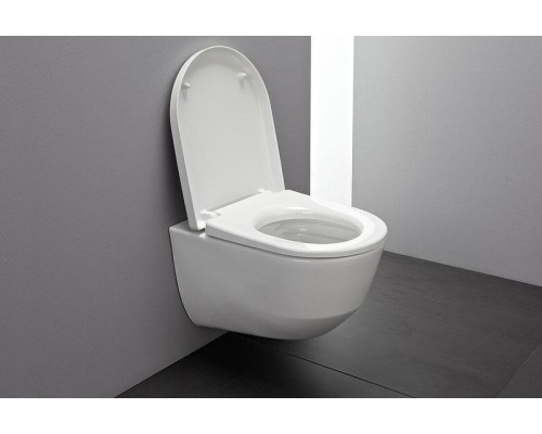 Унитаз Laufen Pro Rimless 8.2096.6 подвесной без сиденья