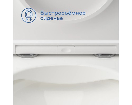 Унитаз Pragma Nanta 901855.NAN1.GWWR.020-2 подвесной цвет Белый глянцевый с сиденьем Микролифт